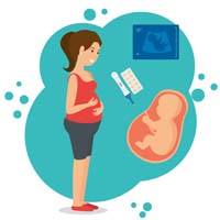 HospitaliaPlus a kobiety w ciąży – staż 6 miesięcy